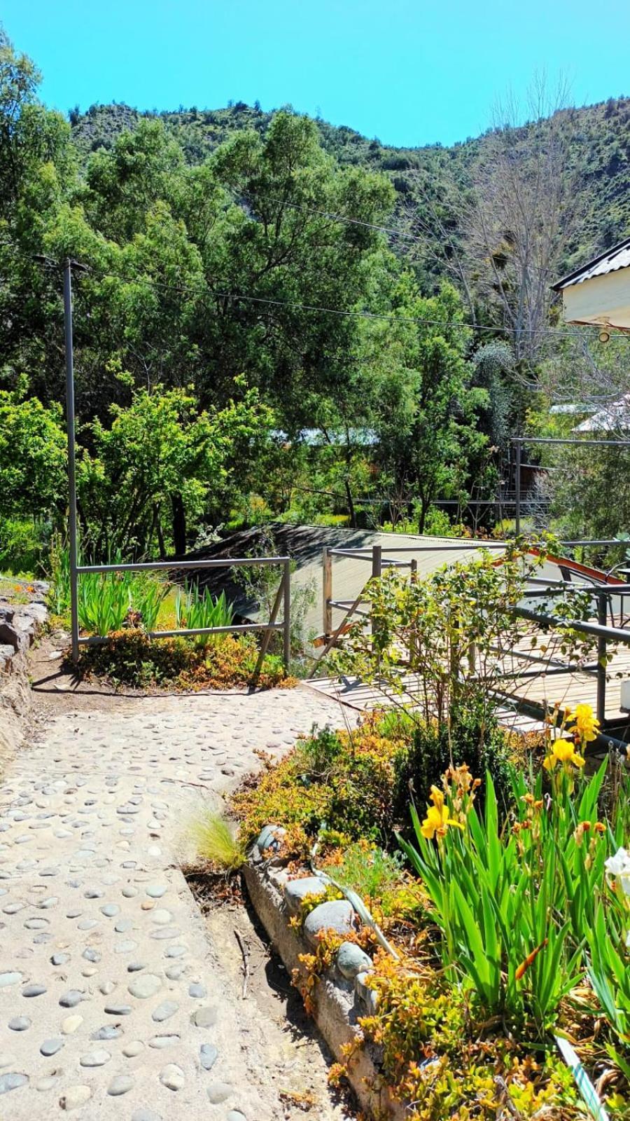 Hostal Los Penones San Alfonso Eksteriør billede
