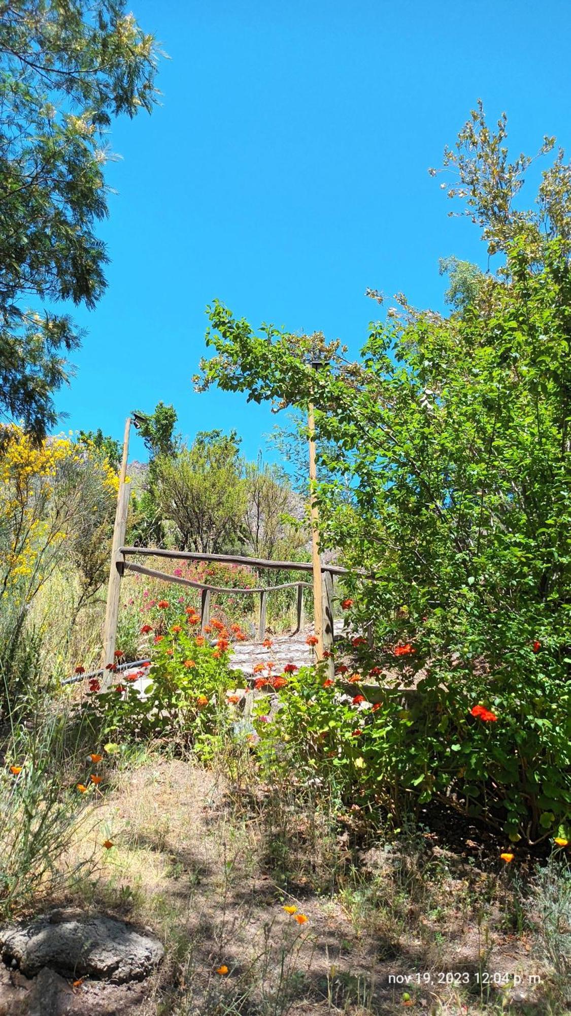 Hostal Los Penones San Alfonso Eksteriør billede
