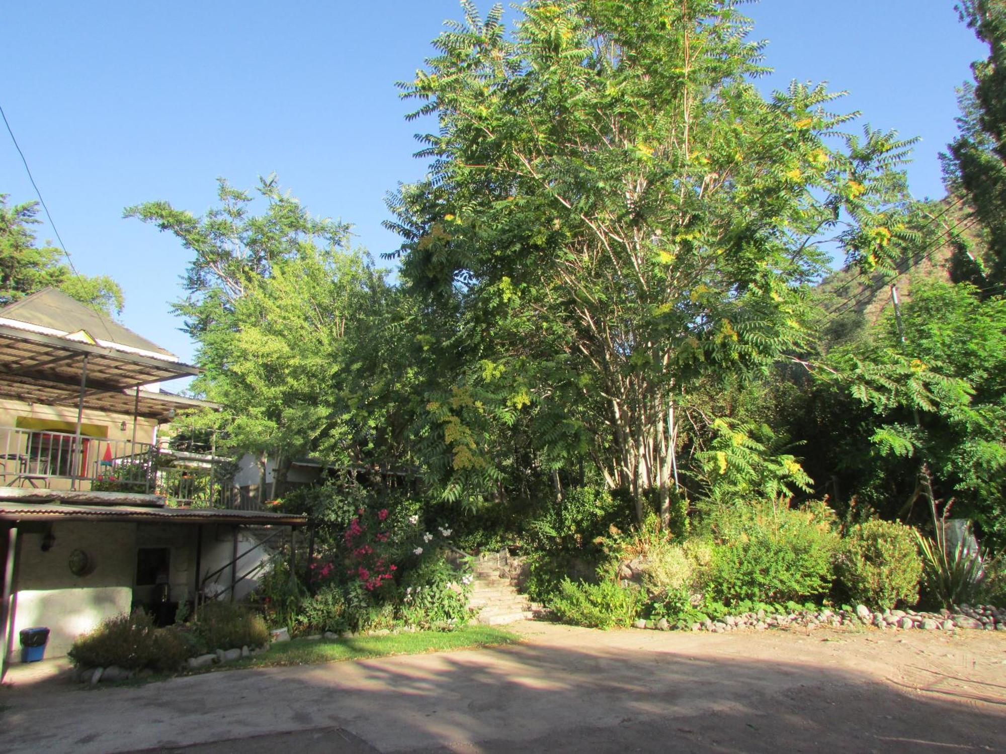 Hostal Los Penones San Alfonso Eksteriør billede